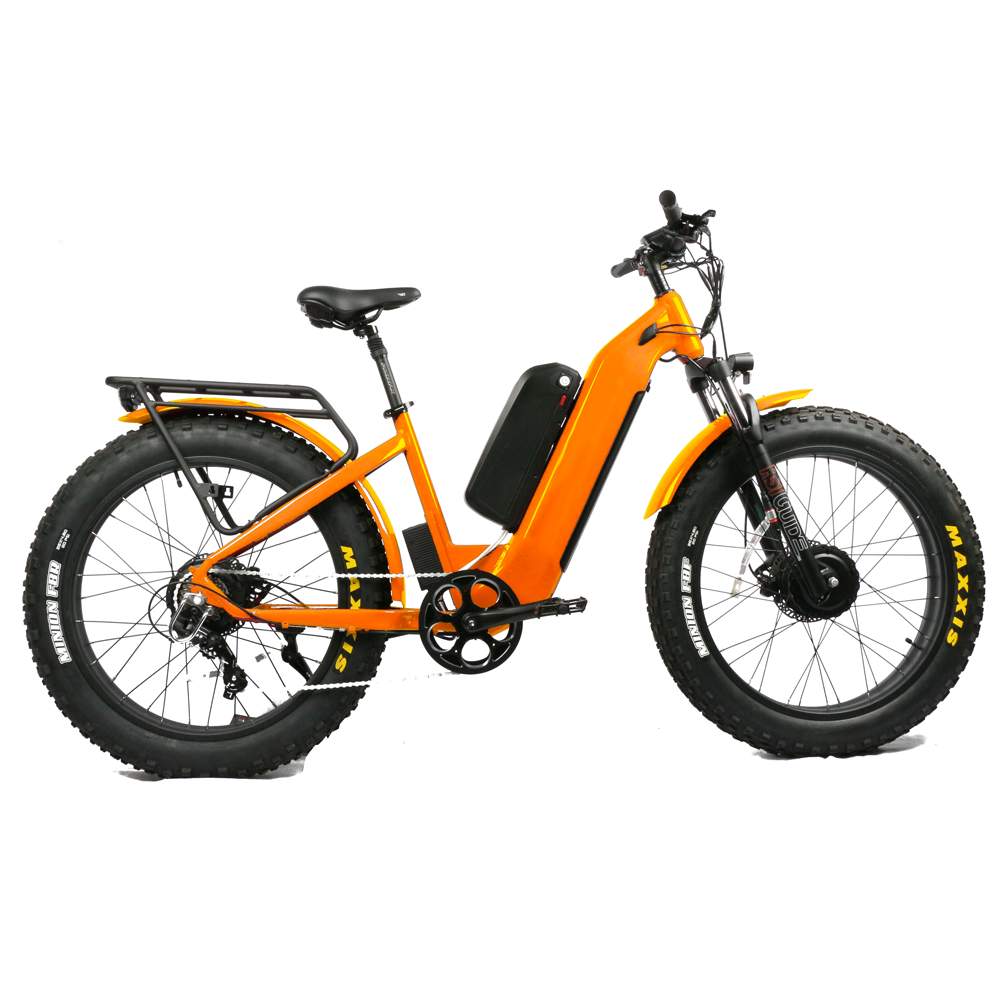 Dual Motor Electric Motorcycle Frame - Гидравлическая передняя вилка по низкой цене,